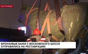 Бронзовые быки с Московского шоссе отправились на реставрацию