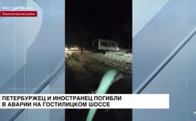 Петербуржец и иностранец погибли в аварии на Гостилицком шоссе