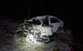 В результате массовой аварии на Гостилицком шоссе в Ленобласти погибли двое человек