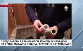 Петербургские следователи разбираются, почему
дом на улице Михаила Дудина регулярно затапливает