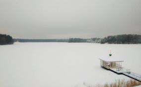 Туман, мокрый снег и ветер до 14 м/c: синоптики рассказали о погоде в Ленобласти 20 января