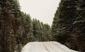 Снег и до -9 градусов: синоптики рассказали о погоде в Ленобласти 21 января