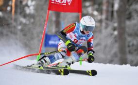 Сильнейшие горнолыжники России соберутся на соревнования в Ленобласти