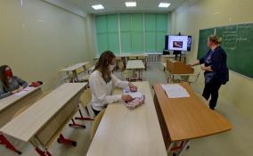 Две девочки-подростки избили учительницу начальных классов в Кировске