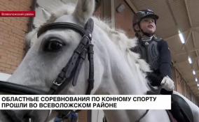 Областные соревнования по конному спорту прошли во Всеволожском районе