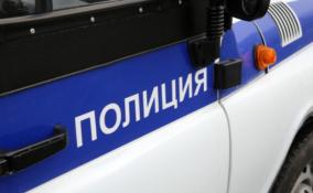 Прокурор Ленобласти взял на контроль избиение учительницы в Кировске