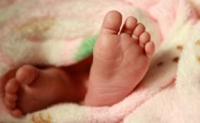 За неделю в Ленобласти на свет появилось более 270 новорожденных