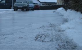 Спасатели Ленобласти предупредили о мокром снеге, сильном ветре и скользких дорогах с 25 по 27 января