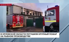 В Орловской области потушили крупный пожар на рыбном производстве