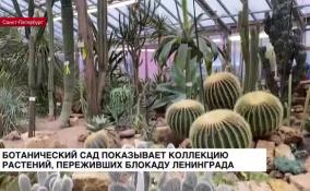 Ботанический сад показывает коллекцию растений, переживших блокаду Ленинграда