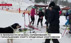 В Ленинградской области начались соревнования по горнолыжному спорту среди юных спортсменов