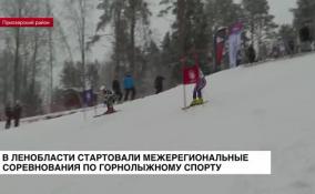 В Ленинградской области стартовал второй день соревнований по горнолыжному спорту среди юных спортсменов