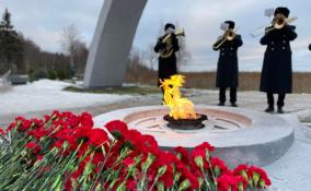 В День снятия блокады возложили цветы к мемориалу «Разорванное кольцо» в Ленобласти