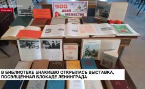 В библиотеке Енакиево открылась выставка, посвященная блокаде Ленинграда