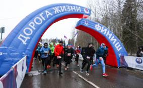 Бегом и скандинавской ходьбой: больше 3 000 участников марафона "Дорога жизни" вышли на старт