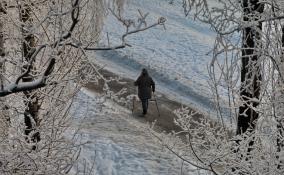 Сильный снег, ветер и метель: погода в Ленобласти на 30 января