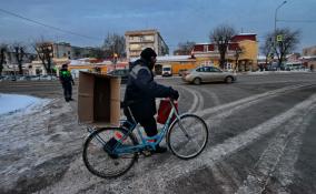 Спасатели Ленобласти предупредили жителей об усилении ветра до 18 м/с, снегопадах и метели с 30 января по 1 февраля