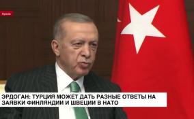 Эрдоган: Турция может дать разные ответы на заявки Финляндии и Швеции в НАТО