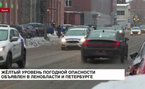 Желтый уровень погодной опасности объявлен в Ленобласти и Петербурге