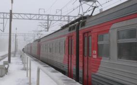 В Ленобласти поезда задержали более чем на два часа из-за сбитого лося