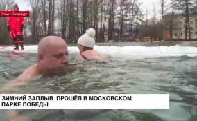 Зимний заплыв прошел в Московском парке Победы