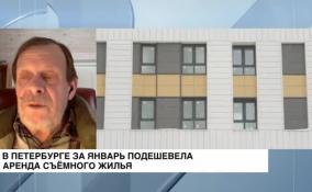 «Серьезное падение»: в Петербурге за январь подешевела аренда съемного жилья