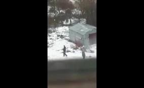 Опубликовано видео стрельбы в поселке Войскорово Тосненского района