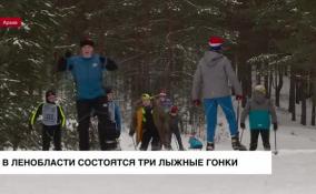 Три масштабных лыжных гонки состоятся в Ленобласти в первой половине февраля