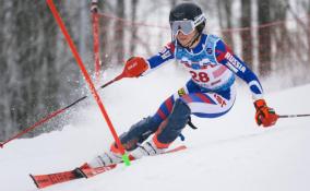 15 медалей выиграли юные спортсмены Ленобласти в соревнованиях по горнолыжному спорту