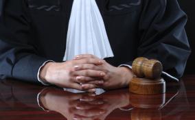 Строительство мусороперерабатывающего завода в Ленобласти остановили из-за иска местной жительницы