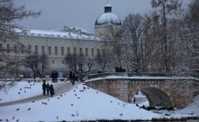 Облачно, снег и до -6 градусов: погода в Ленобласти на 2 февраля