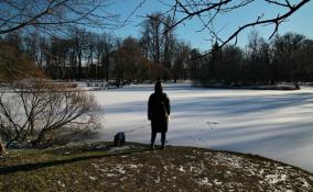 Жителей Петербурга ожидает небольшое похолодание и снег 3 февраля