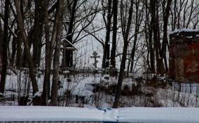 Похороны в Ленобласти стали дороже почти на 1000 рублей