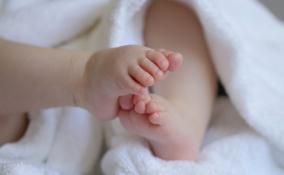 В январе в роддомах Ленобласти родились 13 пар двойняшек