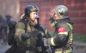 На месте сгоревшего дома в Кировском районе обнаружили два трупа