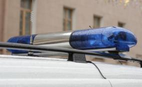 На обочине трассы "Кола" в Ленобласти нашли труп с подозрительным пакетиком в носке