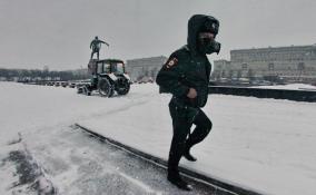 Среда в Петербурге выдастся теплой и дождливой