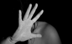 Знакомый по переписке изнасиловал молодую девушку в Мурино