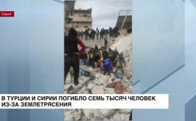 В Турции и Сирии погибло 7 000 человек в результате землетрясения