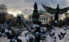 Плюсовая температура, снег и гололедица ожидаются в Петербурге 9 февраля