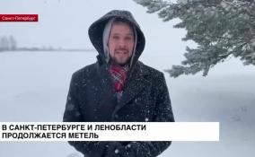 В Санкт-Петербурге и Ленобласти продолжается метель