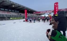 "Лыжня России" открылась и в Ленобласти: 4 000 участников вышли на старт региональной трассы