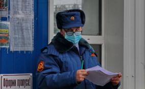 Более трехсот жителей Ленинградской области заразились коронавирусом за прошедшие сутки