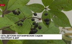 Сеть детских ботанических садов построят в ДНР