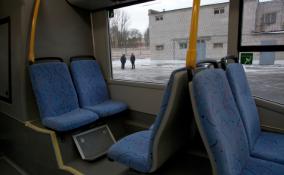 На ж/д станции Сиверская в Ленобласти двое мужчин избили и обстреляли водителя автобуса
