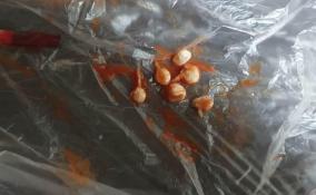Петербурженка попыталась доставить в колонию наркотики в упаковках с кетчупом