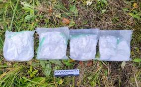 В Ленобласти поймали двух мужчин с 4-килограммовой партией наркотиков