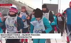 Массовая гонка «Лыжня России» стартовала в Ленобласти
