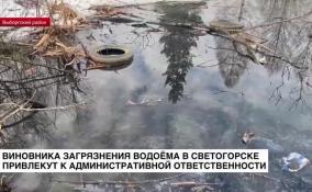 Виновника загрязнения водоема в Светогорске привлекут к административной ответственности