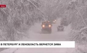 В Петербург и Ленобласть возвращается зима